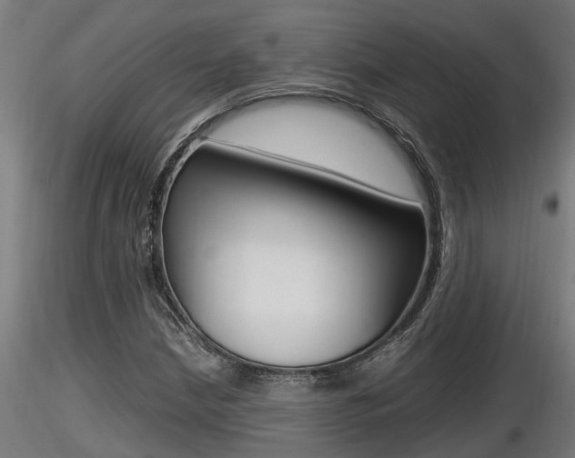 X0000116461210200912090919