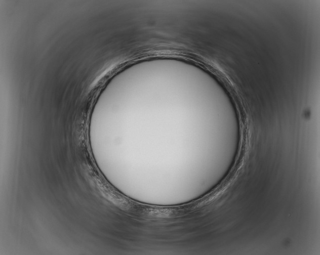 X0000116461211200912090919