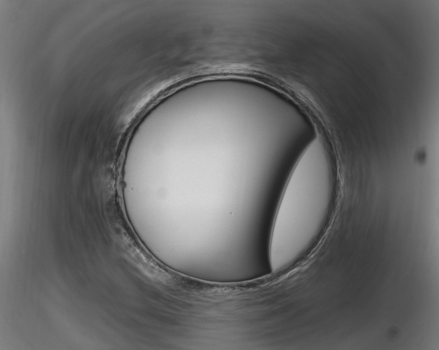 X0000116461212200912090919