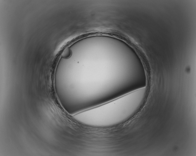 X0000116461214200912090919