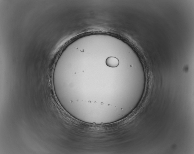 X0000116461215200912090919