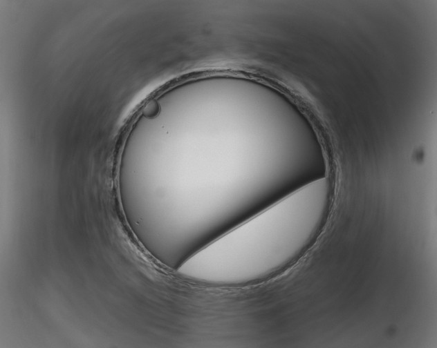X0000116461216200912090919
