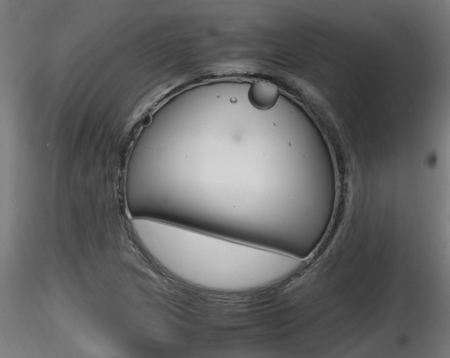 X0000116461217200912090919