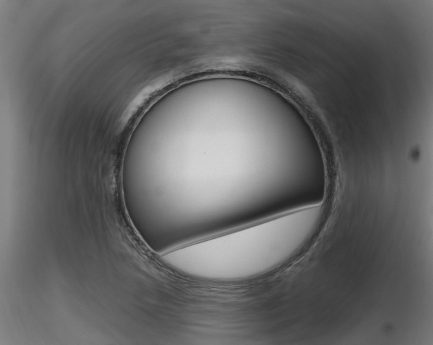 X0000116461218200912090919