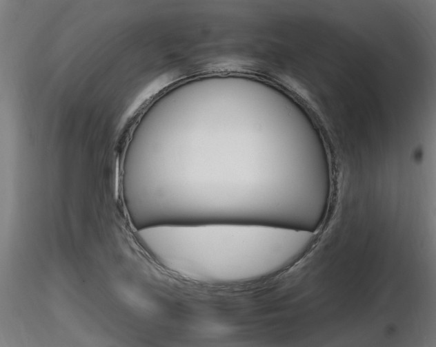 X0000116461219200912090919