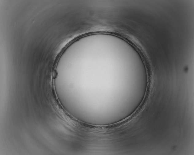 X0000116461220200912090919