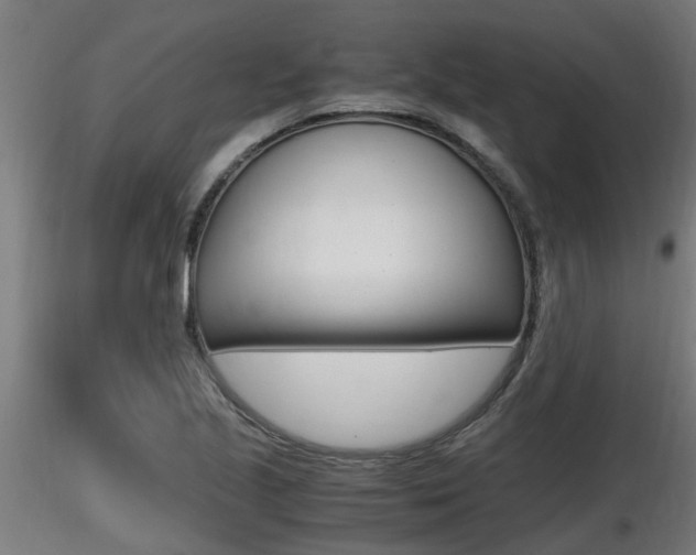 X0000116461221200912090919