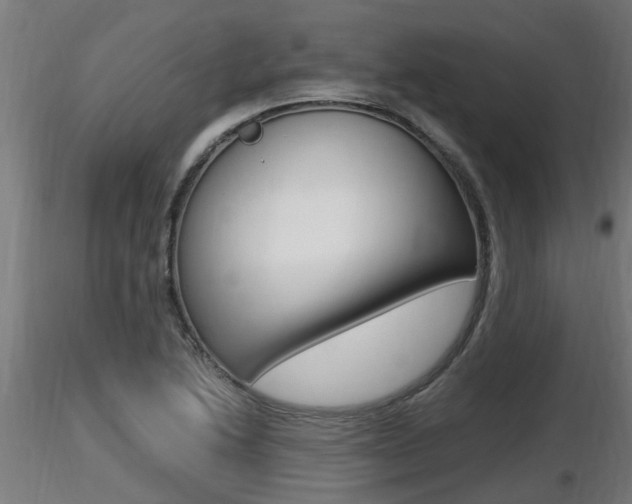 X0000116461222200912090919