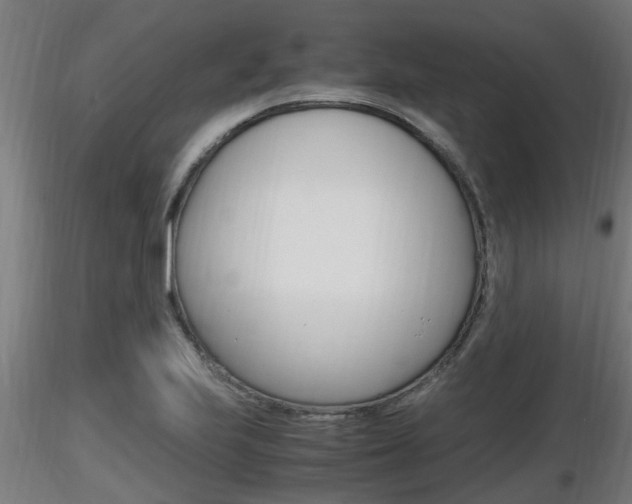 X0000116461223200912090919