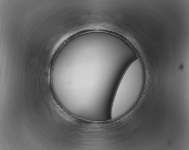 X0000116461224200912090919