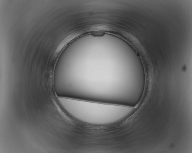 X0000116461225200912090919