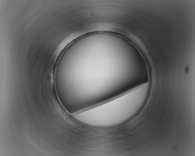 X0000116461226200912090919
