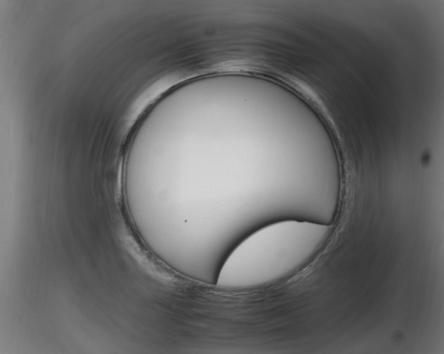 X0000116461227200912090919