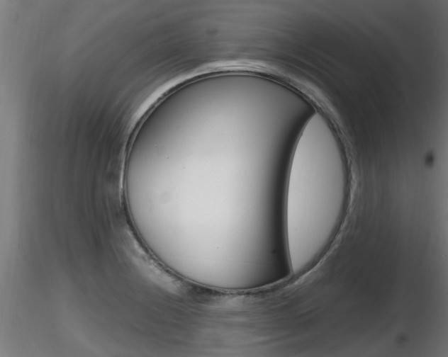 X0000116461228200912090919