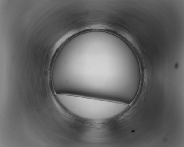 X0000116461229200912090919