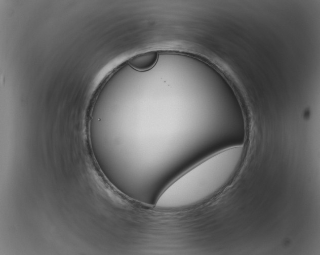 X0000116461230200912090919