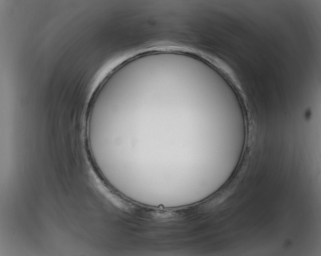 X0000116461231200912090919