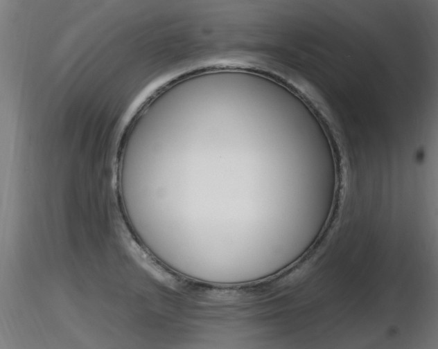 X0000116461232200912090919