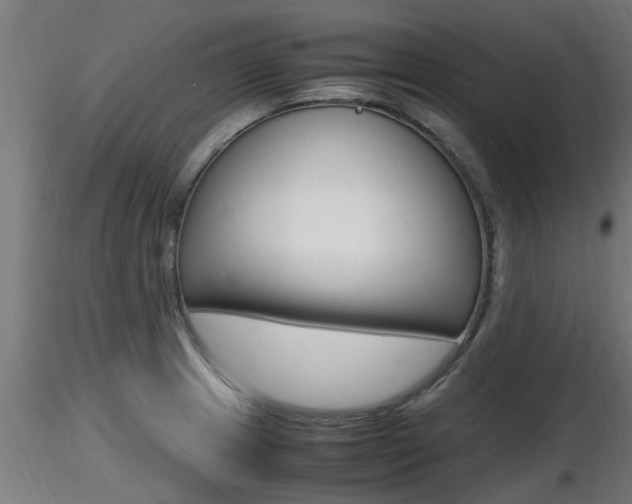 X0000116461233200912090919