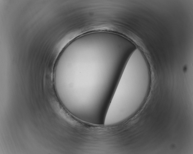 X0000116461234200912090919