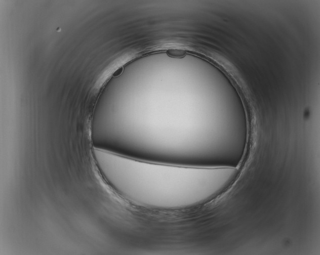 X0000116461241200912090920
