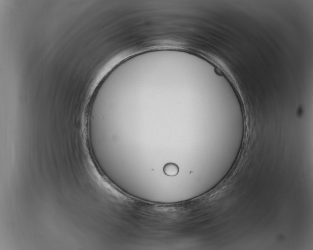 X0000116461243200912090920