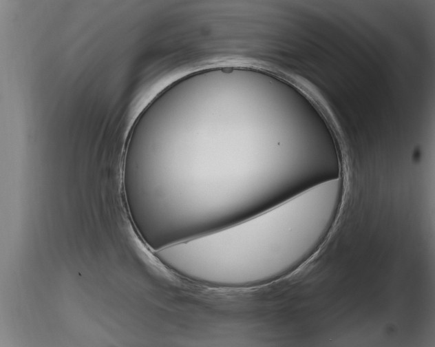 X0000116461244200912090920