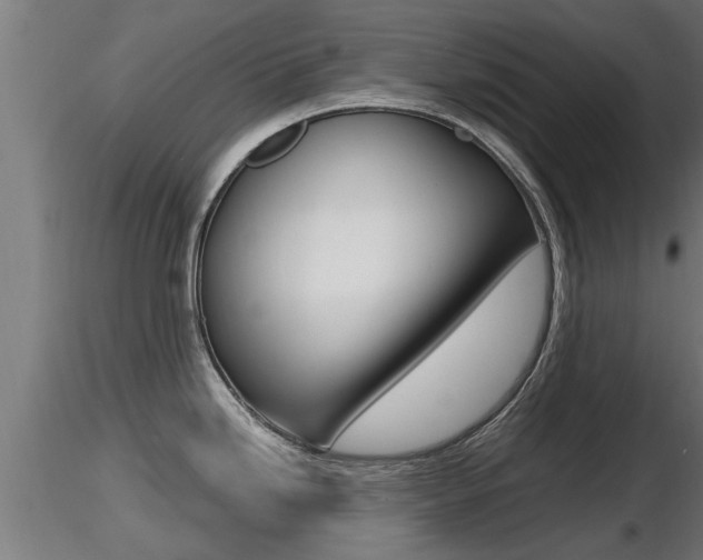 X0000116461246200912090920