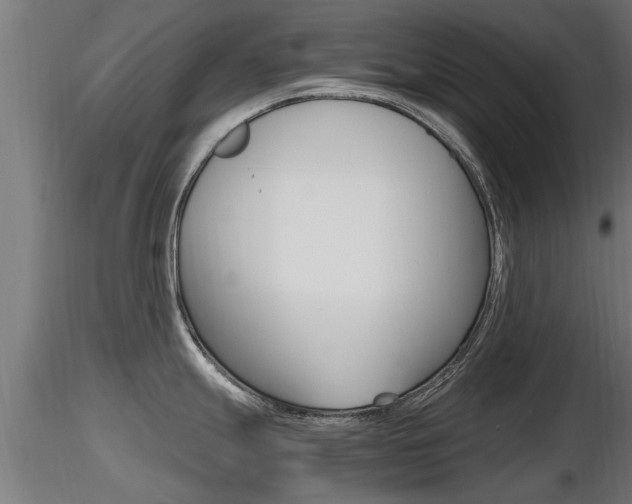 X0000116461247200912090920