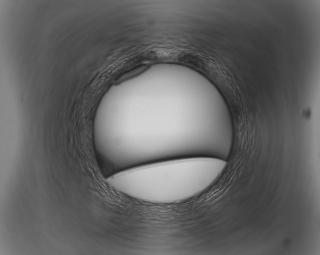 X0000116461249200912090919