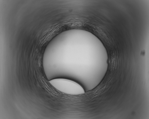 X0000116461250200912090919