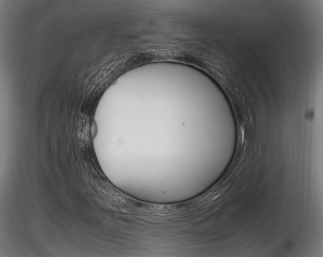 X0000116461251200912090919