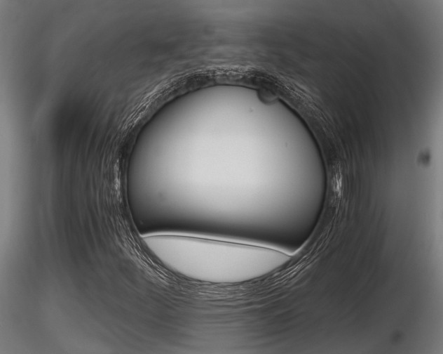 X0000116461252200912090919