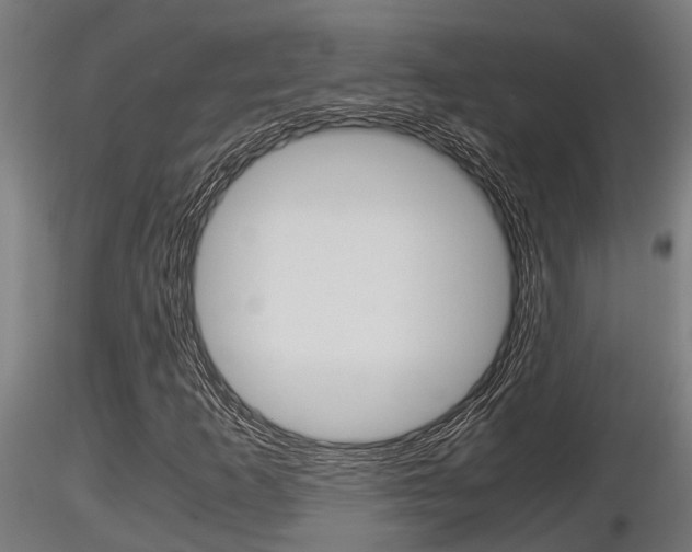 X0000116461253200912090919