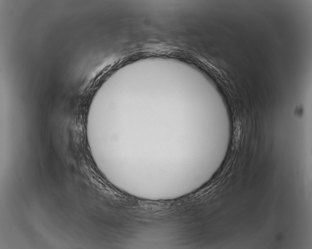 X0000116461254200912090919