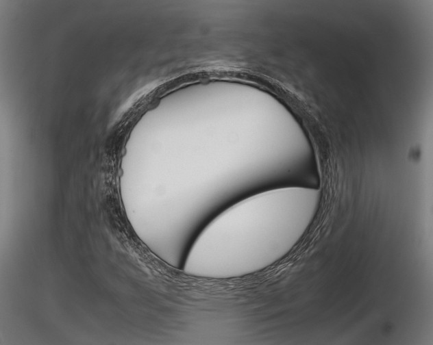 X0000116461255200912090919