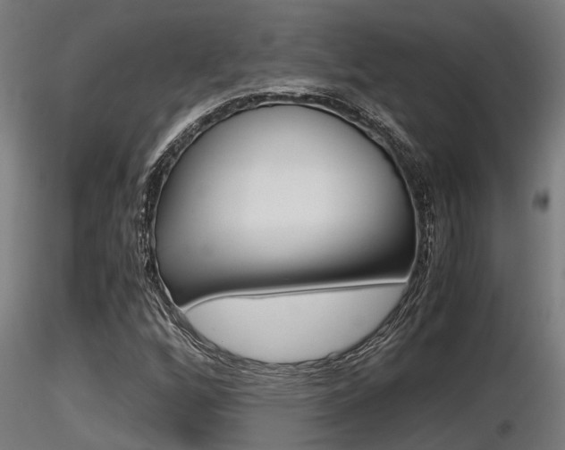 X0000116461256200912090919