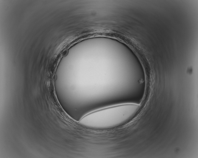 X0000116461257200912090919