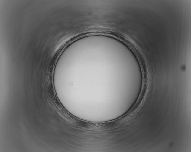 X0000116461259200912090919
