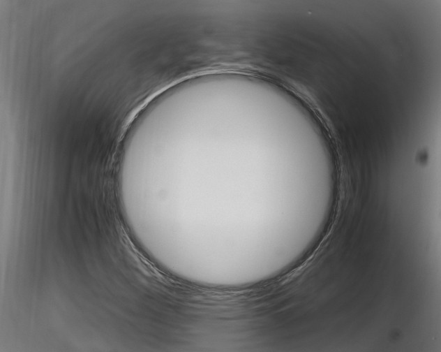 X0000116461260200912090919