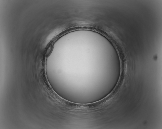 X0000116461261200912090919