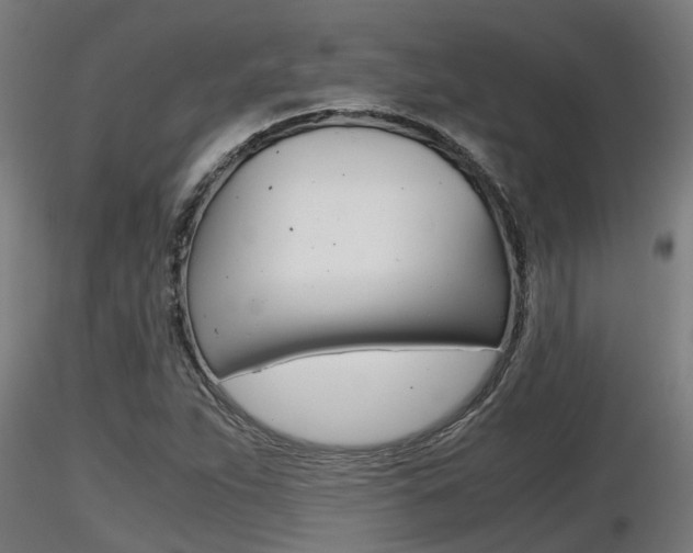 X0000116461263200912090919