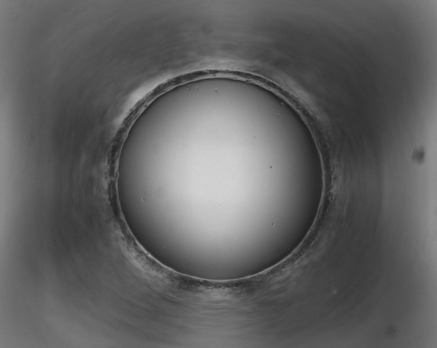 X0000116461264200912090919