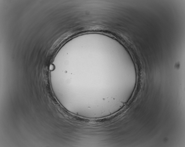 X0000116461265200912090919