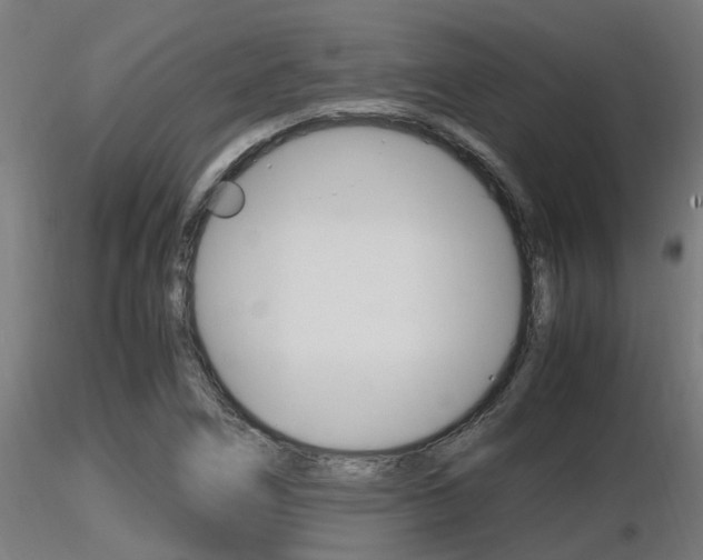 X0000116461266200912090919