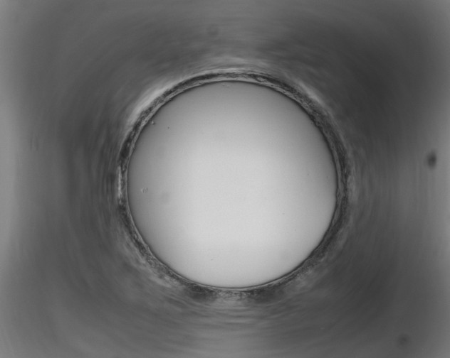 X0000116461267200912090919