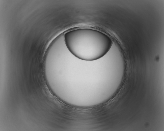 X0000116461268200912090919