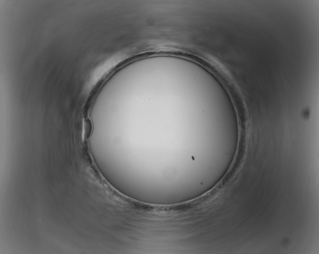 X0000116461269200912090919