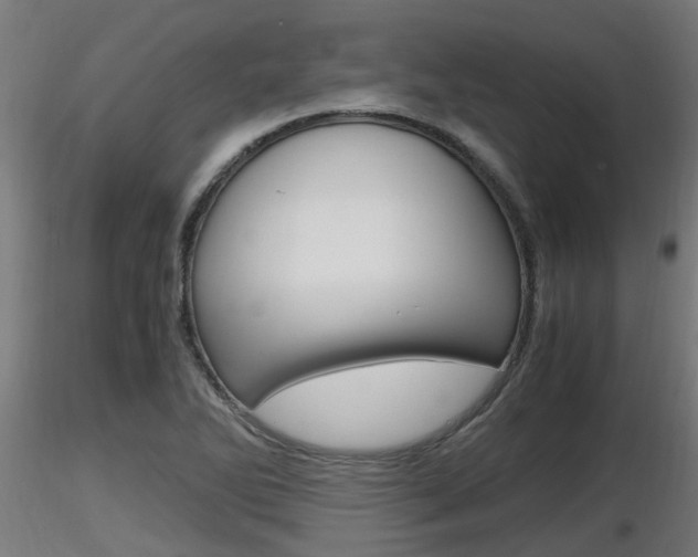 X0000116461270200912090919