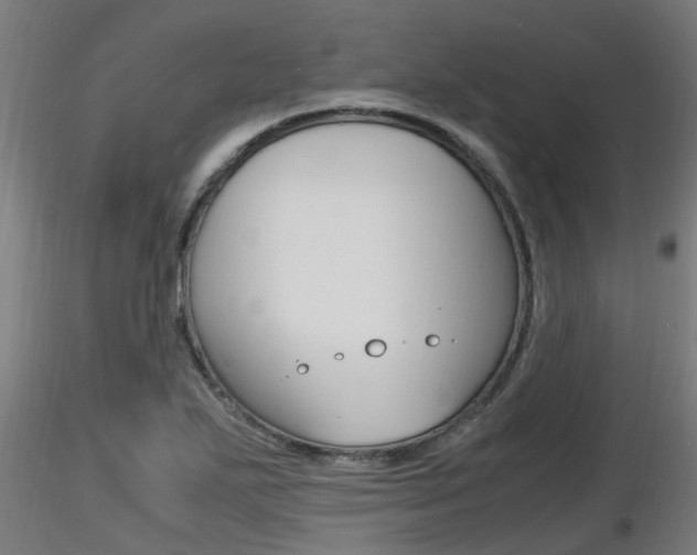 X0000116461271200912090919
